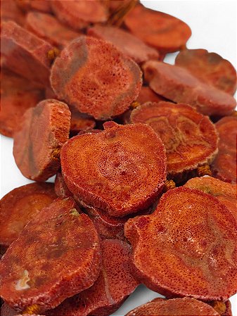 Coral Laranja Esponja Chapa