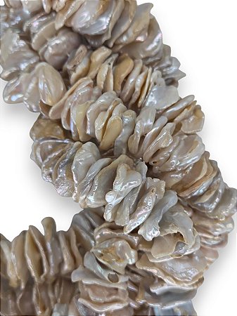 Pérola Natural de Água Doce Disco Assimétrico