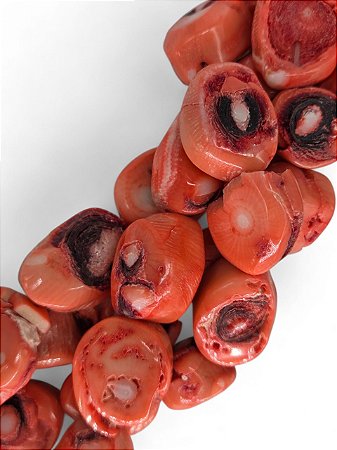 Coral Moeda Assimétrico Laranja