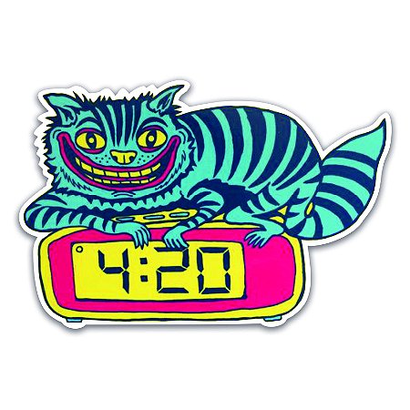 GATO 4:20