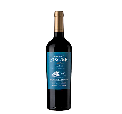 Enrique Foster Single Vineyard Los Barrancos Malbec
