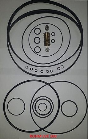 Jogo Reparos Completo Placa Pneumática Rohm Lve 160