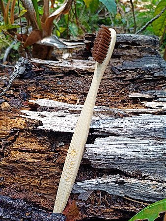 Escova de dentes de Bambu