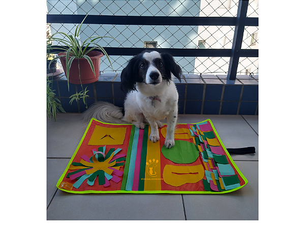 TAPETE INTERATIVO EXPLORADOR - PERSONAL CÃES E GATOS