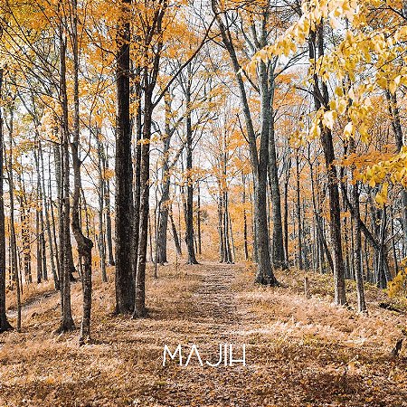 VELA CASCAS E FOLHAS