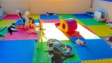 Piso emborrachado infantil & pet de encaixe 1,00 x 1,00 x 0,10 KIT 4 PEÇAS