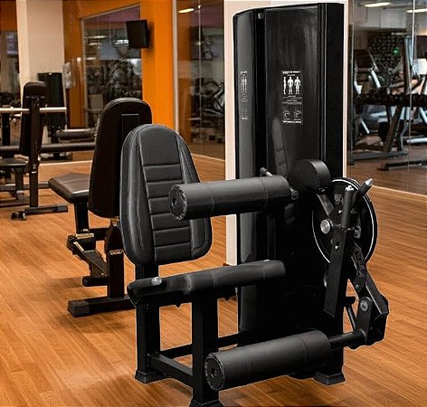 Cadeira Flexo Extensora sentada Evolution Fitness EF 4000 - CUPOM FRETE GRATIS CIDADE DE SP E SUL DO BRASIL