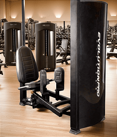 Cadeira Adutora e Abdutora Conjugada Profissional Evolution Fitness BD 4000 CUPOM FRETE GRÁTIS CIDADE DE SAO PAULO E SUL DO BRASIL