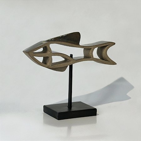 Peixe Voador 3