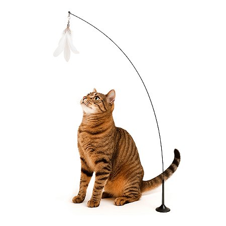 Varinha Interativa Para Gatos com Ventosa