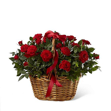 BASKET OF RED ROSES