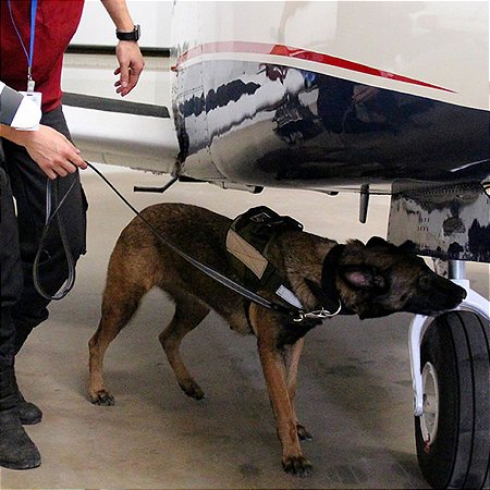 Varredura preventiva