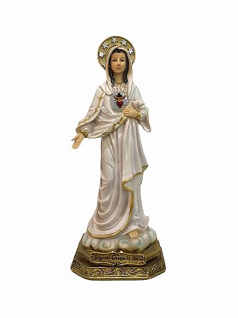 Imagem Sagrado Coração de Maria Resina Importada 22cm