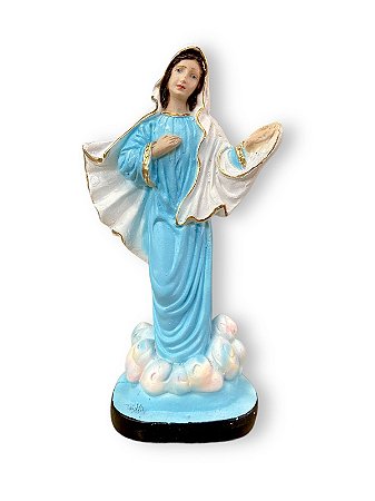 Imagem Nossa Senhora Rainha Da Paz Gesso Premium 20cm