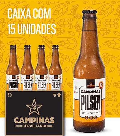 Caixa de Cerveja Artesanal - CAMPINAS Pilsen (15 unidades- 355mL)