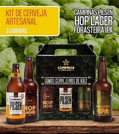 Pack de cerveja artesanal da CAMPINAS com 6 CAMPINAS Pilsen 355ml