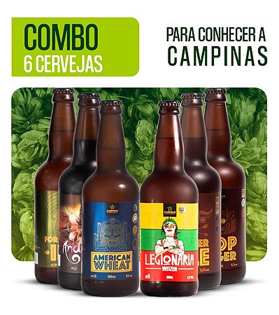 Pack Degustação 6 Estilos de Cerveja Artesanal da CAMPINAS