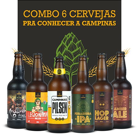 Pack Degustação 6 Estilos de Cerveja Artesanal da CAMPINAS