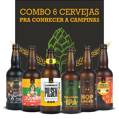 Pack Degustação 6 Estilos de Cerveja Artesanal da CAMPINAS