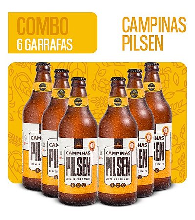 Pack de Cerveja Artesanal da CAMPINAS - 6 CAMPINAS Pilsen 600ml - Loja de  Cerveja Artesanal da Cervejaria CAMPINAS.