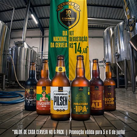 20% OFF - Pack Degustação 6 Estilos de Cerveja Artesanal da Cervejaria CAMPINAS - R$14,40 POR CERVEJA