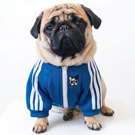 Moletom esportivo para cachorros "Adipop"