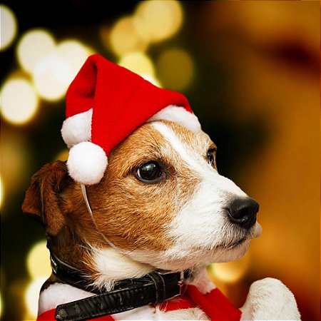 Gorro de Natal em pelúcia para cães