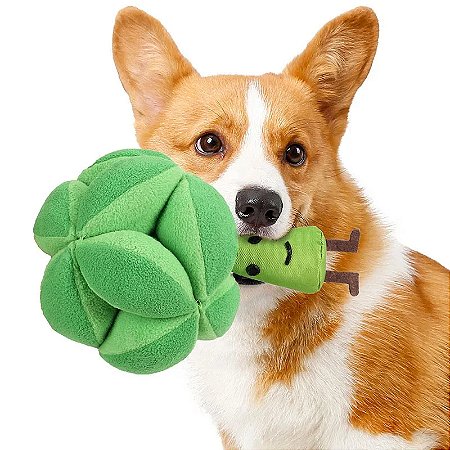 BrocoLover – Brinquedo e Estímulo Mental