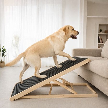 Rampa Pró-Coluna XG altura até 70cm