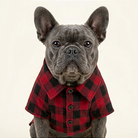 Camisa de botão para cachorros - Grunge