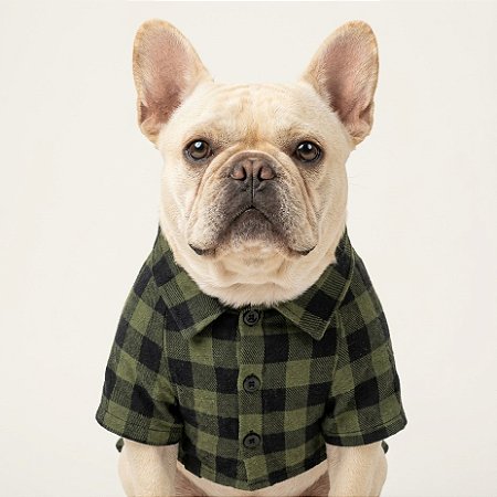 Camisa de botão para cachorros - Nirvana