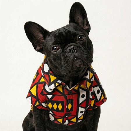 Camisa de botão para cachorros - África