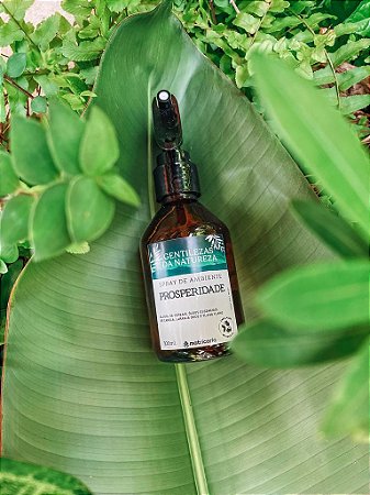 Spray de ambiente Prosperidade