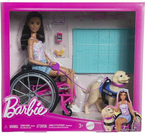 Boneca Barbie Articulada com Cadeira de Rodas e Cão Mattel HJY85