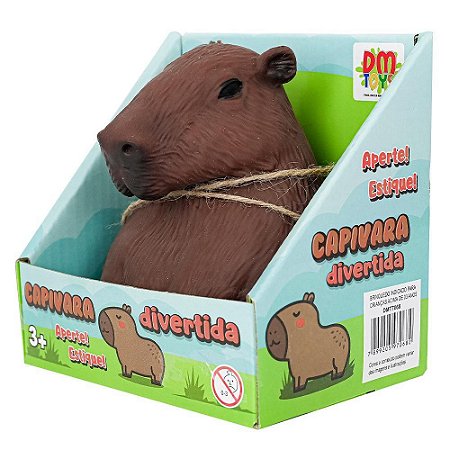 Brinquedo Antiestresse Infantil Capivara Divertida DM T7068