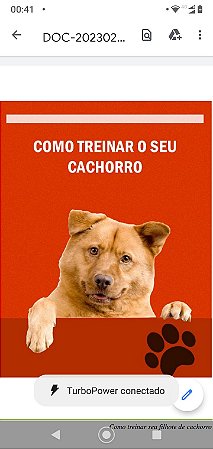 E-book como cuidar cão
