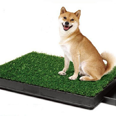 E-book como treinar cão