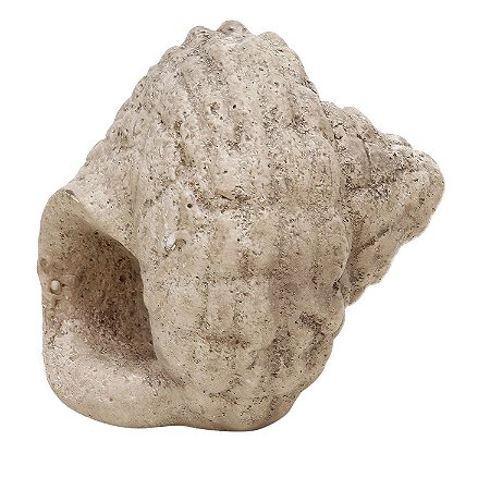 FIGURA DECORATIVA CONCHA