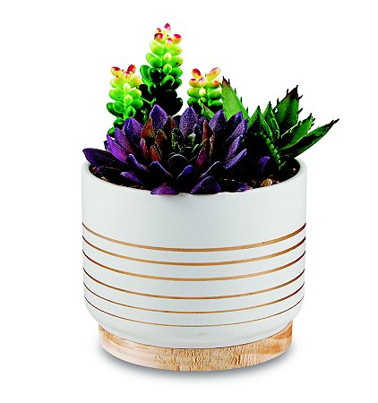 CACHEPOT EM CERAMICA COM SUCULENTA PERMANENTE
