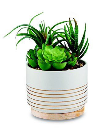 CACHEPOT EM CERAMICA COM SUCULENTA PERMANENTE