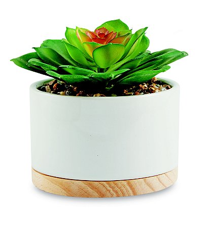 CACHEPOT EM CERAMICA COM SUCULENTA PERMANENTE