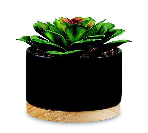 CACHEPOT EM CERAMICA COM SUCULENTA PERMANENTE