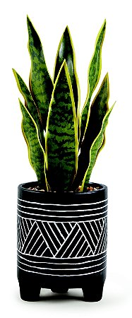 CACHEPOT EM CERAMICA COM PLANTA PERMANENTE