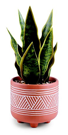 CACHEPOT EM CERAMICA COM PLANTA PERMANENTE
