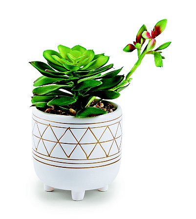 CACHEPOT EM CERAMICA COM SUCULENTA PERMANENTE