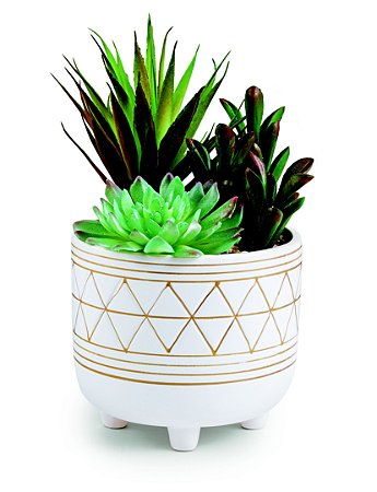 CACHEPOT EM CERAMICA COM SUCULENTA PERMANENTE