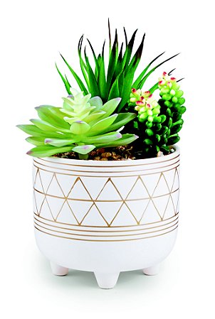 CACHEPOT EM CERAMICA COM SUCULENTA PERMANENTE