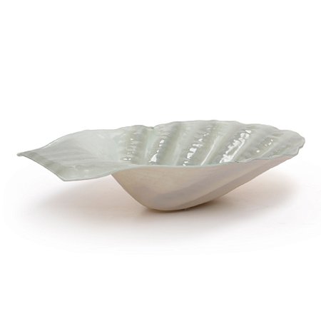CONCHA DECORATIVA EXTRA