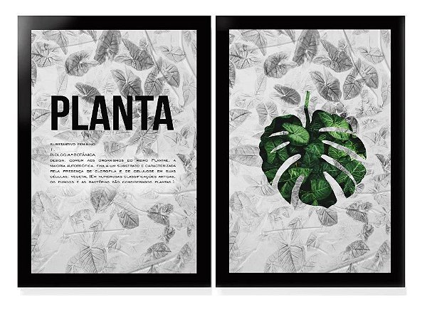 QUADRO DECORATIVO 2 PÇS PRETO PLANTA 53x33x3CM