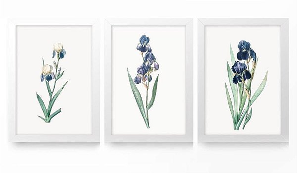 QUADRO DECORATIVO 3 PÇS BRANCO NATURE 43X33X1CM
